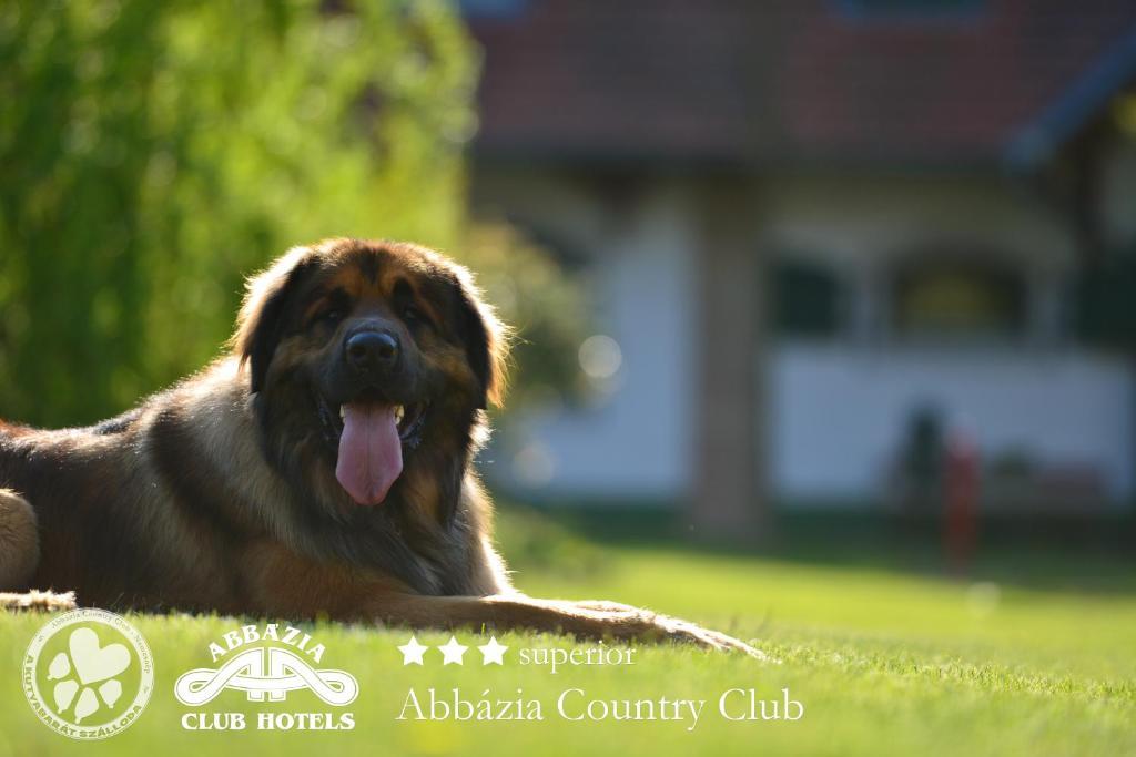 Abbazia Country Club Hotel Nemesnep ภายนอก รูปภาพ